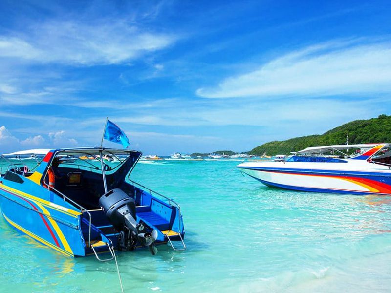 День на острове Рача (5/11)