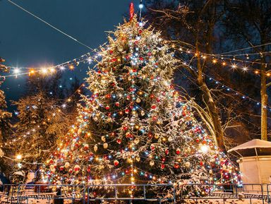Фото 2 - Экскурсия: "Новогодний Брянск" Фото 2 - Экскурсия: "Новогодний Брянск"