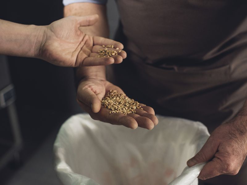 Автобусная экскурсия «Легенды старого маяка» (5/6)