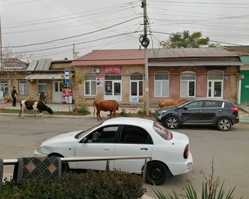 Фото 4 авторского тура - день 1 "Древнейший город России" Фото 4 авторского тура - день 1 "Древнейший город России"