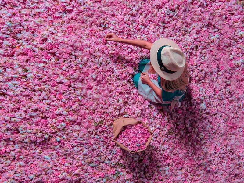 Богатства Ыспарты: поля дамасской розы и озеро Салда из Алании (2/18)