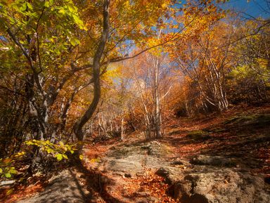 Фото 2 - Экскурсия: "Треккинг из Алушты к вершине Южной Демерджи" Фото 2 - Экскурсия: "Треккинг из Алушты к вершине Южной Демерджи"