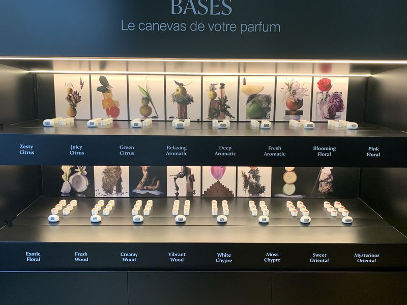 Ваши духи из Парижа: прогулка и мастер-класс (4/11)