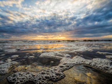 Фото - Экскурсия: "К Белому морю на остров Ягры" Фото - Экскурсия: "К Белому морю на остров Ягры"