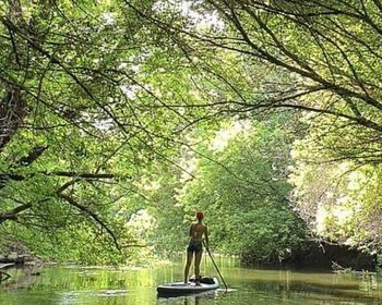 Фото 3 авторского тура - день 6 "SUP-серфинг в «калининградской Венеции» и лучший пляж в Янтарном" Фото 3 авторского тура - день 6 "SUP-серфинг в «калининградской Венеции» и лучший пляж в Янтарном"