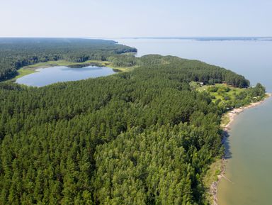 Фото - Экскурсия: "Ордынское кольцо: хроники Сибири" Фото - Экскурсия: "Ордынское кольцо: хроники Сибири"