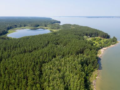 Ордынское кольцо: хроники Сибири