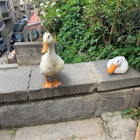 Фото отзыва 1: экскурсия "Тбилиси во всей красе и самобытности" Фото отзыва 1: экскурсия "Тбилиси во всей красе и самобытности"