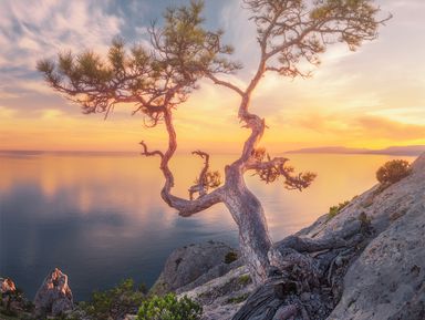 Фото 2 - Экскурсия: "Легенды Восточного Крыма" Фото 2 - Экскурсия: "Легенды Восточного Крыма"