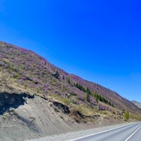 Фото отзыва 3: экскурсия "Фиолетовые горы Алтая" Фото отзыва 3: экскурсия "Фиолетовые горы Алтая"