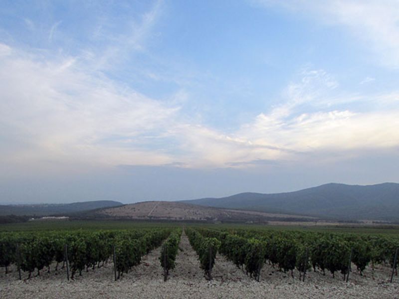 Конные прогулки по горному хребту (Геленджик), 1 час