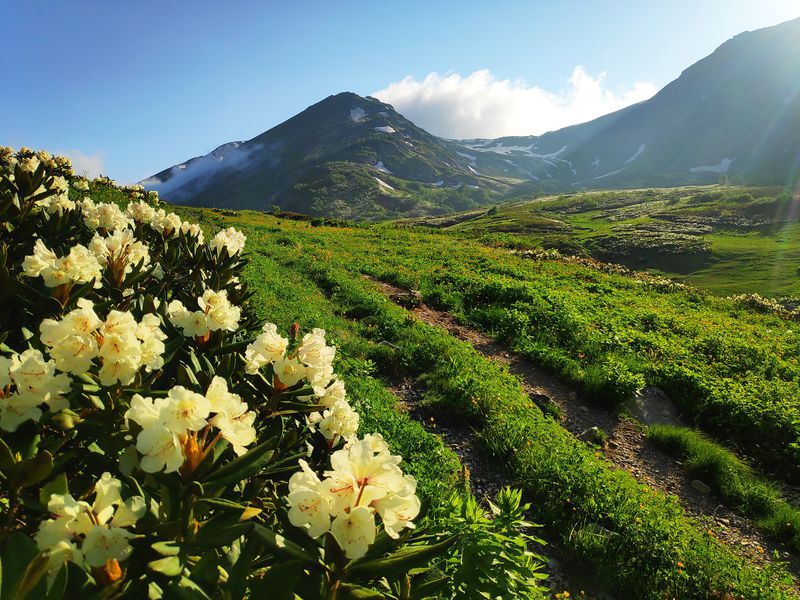 Двухдневный арт-поход в горы (6/15)