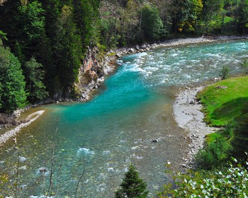 Поездка к водопаду, прогулка по лесу, купание в озере, баня