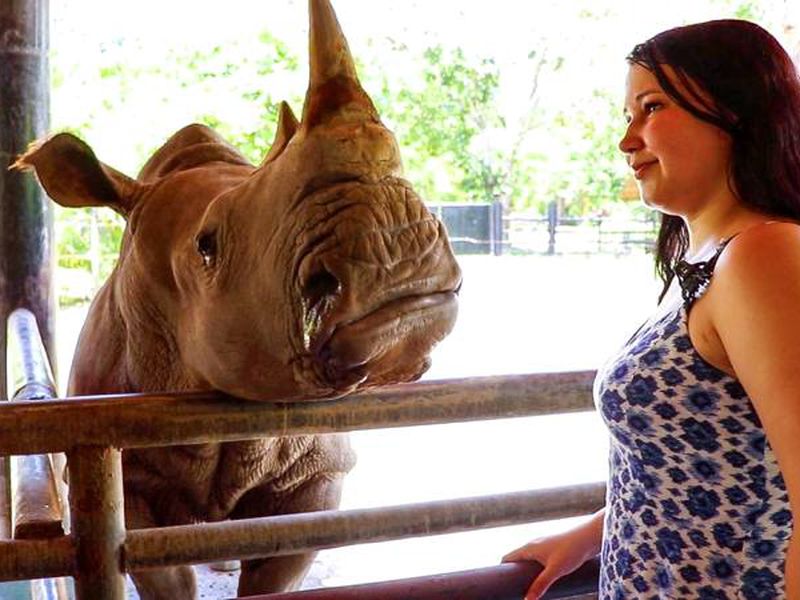 День открытий в Паттайе: сафари-парк, плантации и храмы (21/26)