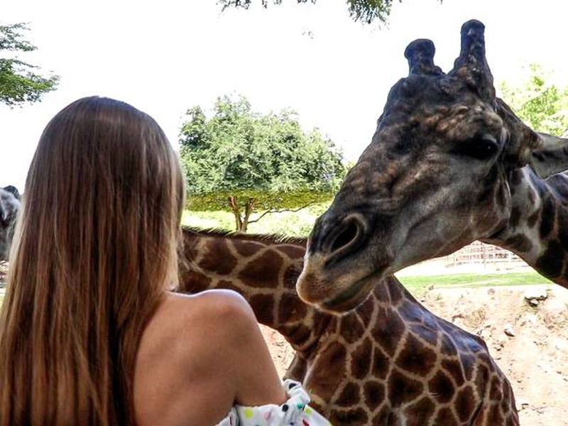 День открытий в Паттайе: сафари-парк, плантации и храмы (19/26)