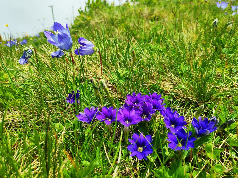 Двухдневный арт-поход в горы (8/15)