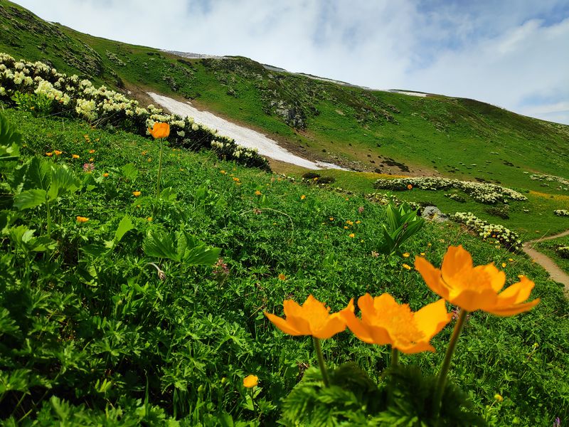 Двухдневный арт-поход в горы (7/15)