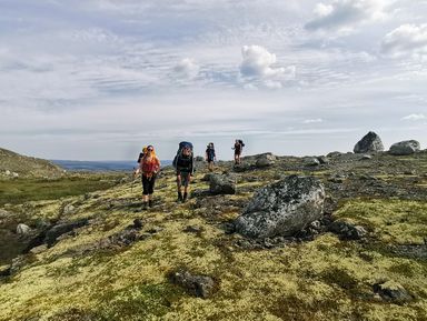 Фото 2 - Экскурсия: "Поход по заполярной тундре: пешком, на лыжах или снегоступах!" Фото 2 - Экскурсия: "Поход по заполярной тундре: пешком, на лыжах или снегоступах!"