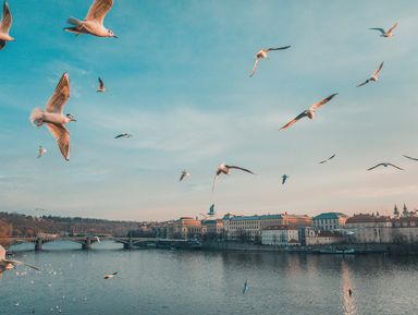 Фото 3 - Экскурсия: "Прага: блеск Градчан и нищета Малой Страны" Фото 3 - Экскурсия: "Прага: блеск Градчан и нищета Малой Страны"