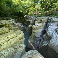 Фото отзыва 5: экскурсия "Многоликий Сочи: главное за день!" Фото отзыва 5: экскурсия "Многоликий Сочи: главное за день!"