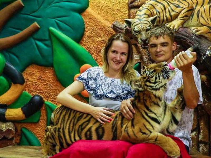 День открытий в Паттайе: сафари-парк, плантации и храмы (22/26)