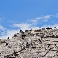 Фото отзыва 6: экскурсия "Приключения на Ольхоне: Хобой, Шаманка и острова Малого моря" Фото отзыва 6: экскурсия "Приключения на Ольхоне: Хобой, Шаманка и острова Малого моря"