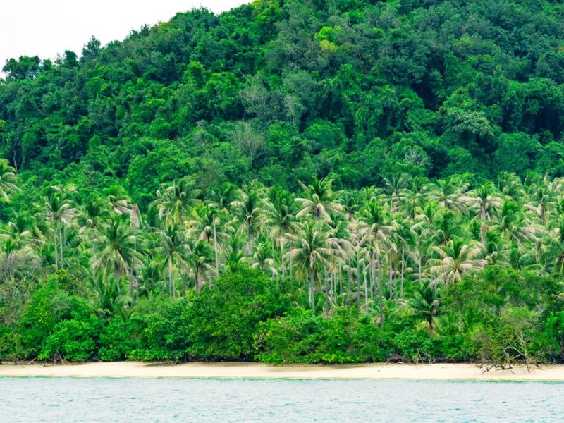 Развлекательная групповая морская прогулка (8/16)