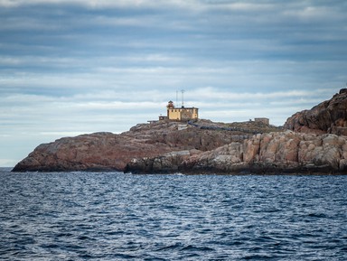 Фото - Экскурсия: "На поиски китов Териберки: морская прогулка" Фото - Экскурсия: "На поиски китов Териберки: морская прогулка"