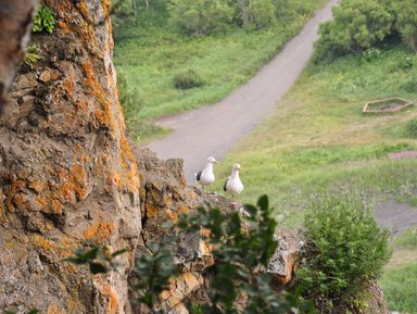 Фото 3 - Экскурсия: "Мыс Маячный и скалы Три брата" Фото 3 - Экскурсия: "Мыс Маячный и скалы Три брата"