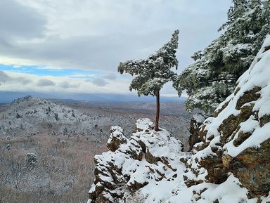 Фото 2 - Экскурсия: "Покорить сопки Хабаровска" Фото 2 - Экскурсия: "Покорить сопки Хабаровска"