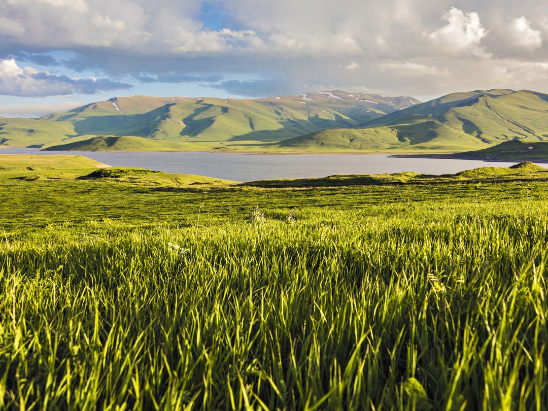 Гедонистический трип по югу Армении: заброшки, плантации и местная еда ...