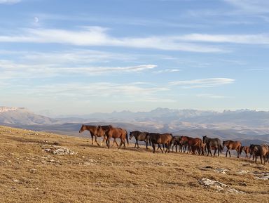 Фото 2 - Экскурсия: "Плато Бермамыт и водопады Гришкиной балки" Фото 2 - Экскурсия: "Плато Бермамыт и водопады Гришкиной балки"