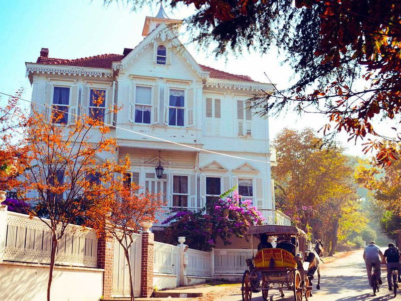 Волшебный день на Принцевых островах (5/7)