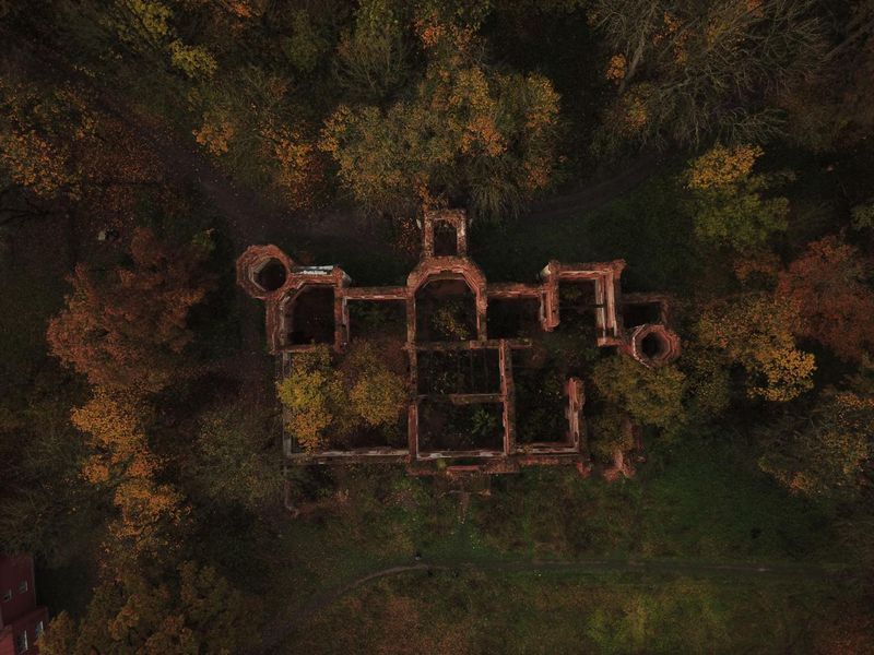 Заброшенные усадьбы Ленобласти: групповая экскурсия (10/12)