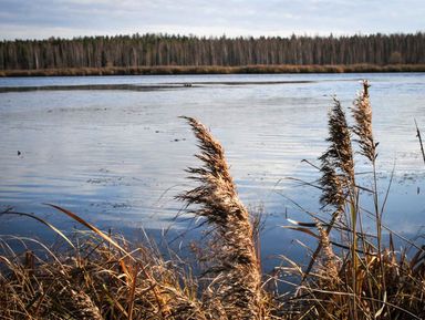 Фото 3 - Экскурсия: "Затерянный мир реки Исеть" Фото 3 - Экскурсия: "Затерянный мир реки Исеть"
