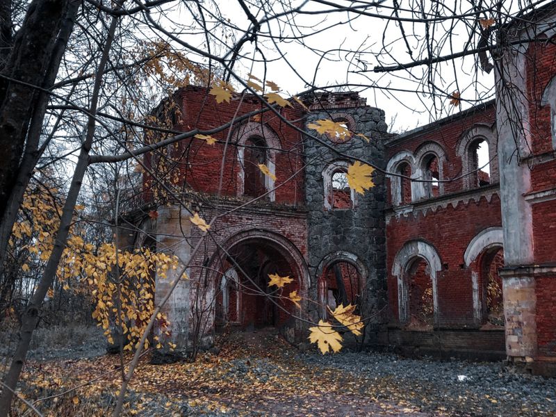 Заброшенные усадьбы Ленобласти: групповая экскурсия (12/12)