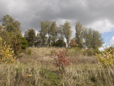 Фото 2 - Экскурсия: "Из Тарусы в Поленово на катере" Фото 2 - Экскурсия: "Из Тарусы в Поленово на катере"
