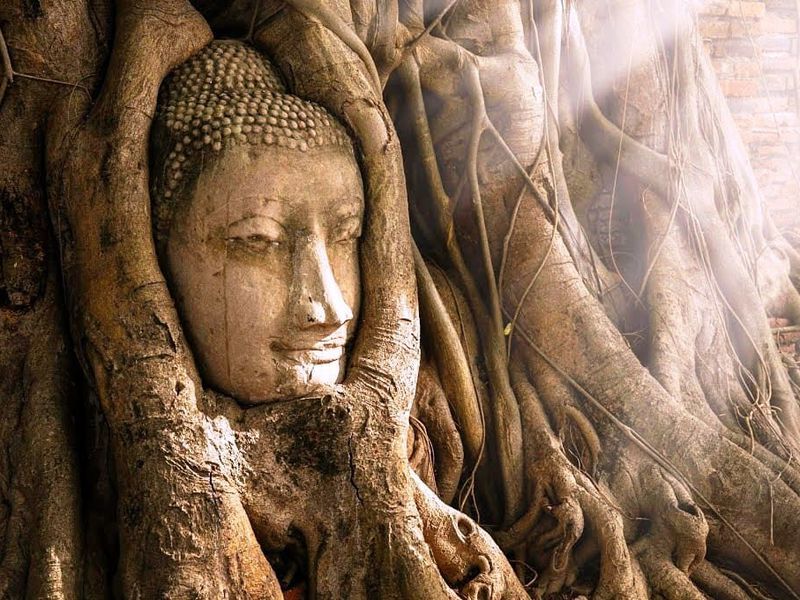 Экскурсия из Бангкока в Аюттайю с круизом по реке Чао Прайя (2/14)