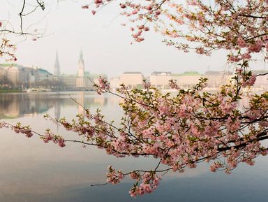 Фото 3 - Экскурсия: "Прогулка по эпохам Гамбурга" Фото 3 - Экскурсия: "Прогулка по эпохам Гамбурга"