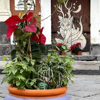 Фото отзыва 8: экскурсия "Этна в бокале вина" Фото отзыва 8: экскурсия "Этна в бокале вина"