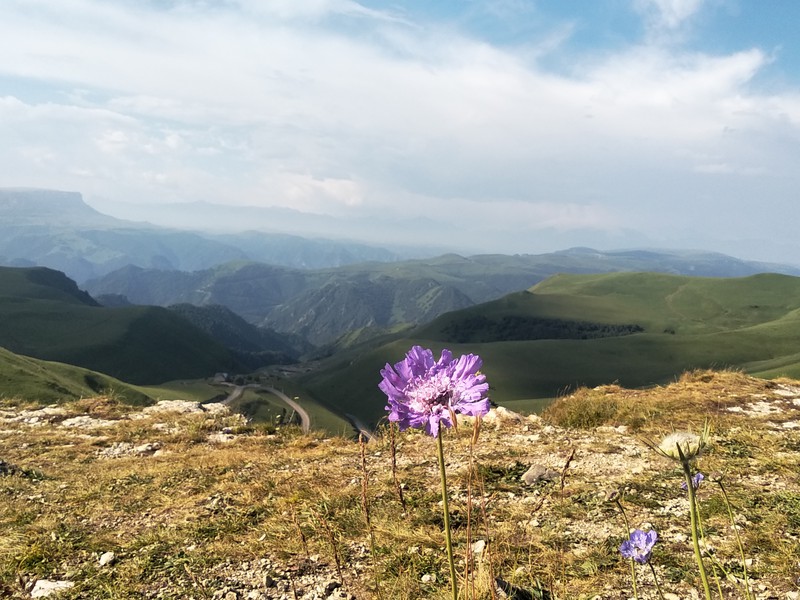 Фото 1 - Экскурсия: "Джилы-Су за 1 день: незабываемый джип-тур"