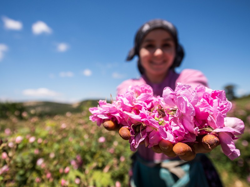 Богатства Ыспарты: поля дамасской розы и озеро Салда из Анталии (18/22)