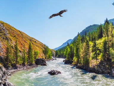 Фото 2 - Экскурсия: "Этот сказочный Чемал!" Фото 2 - Экскурсия: "Этот сказочный Чемал!"