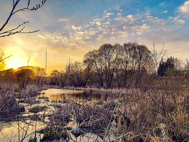 Фото - Экскурсия: "Рассвет или закат на западе Подмосковья" Фото - Экскурсия: "Рассвет или закат на западе Подмосковья"