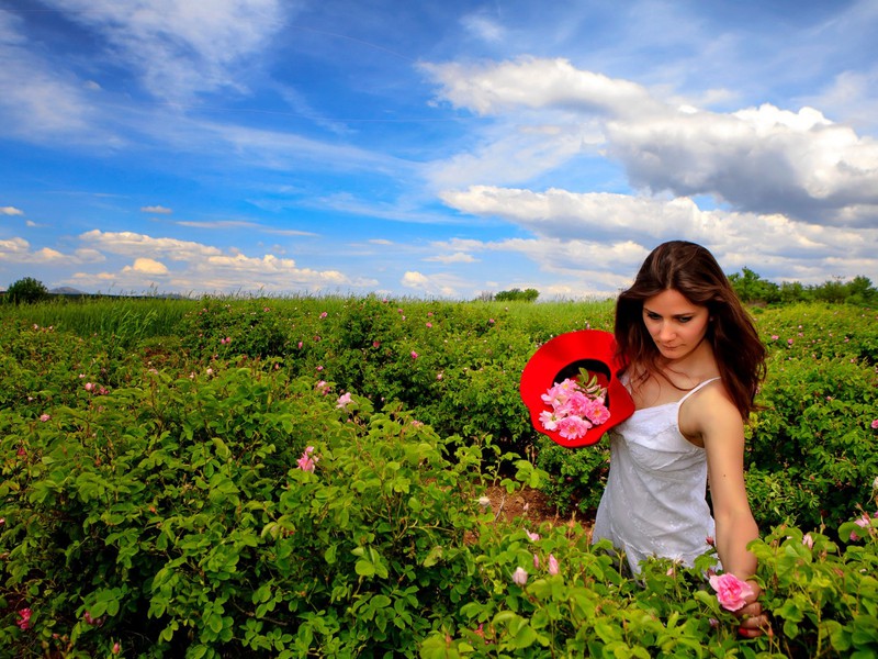Богатства Ыспарты: поля дамасской розы и озеро Салда из Анталии (8/22)