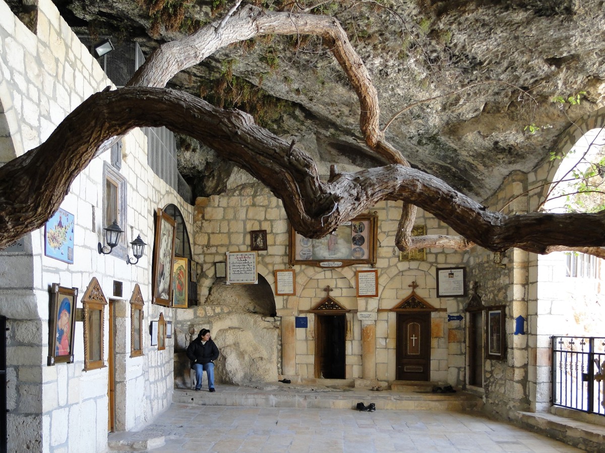 Душевный трип по Сирии: святыни, винодельня и гостеприимные жители (7/9)