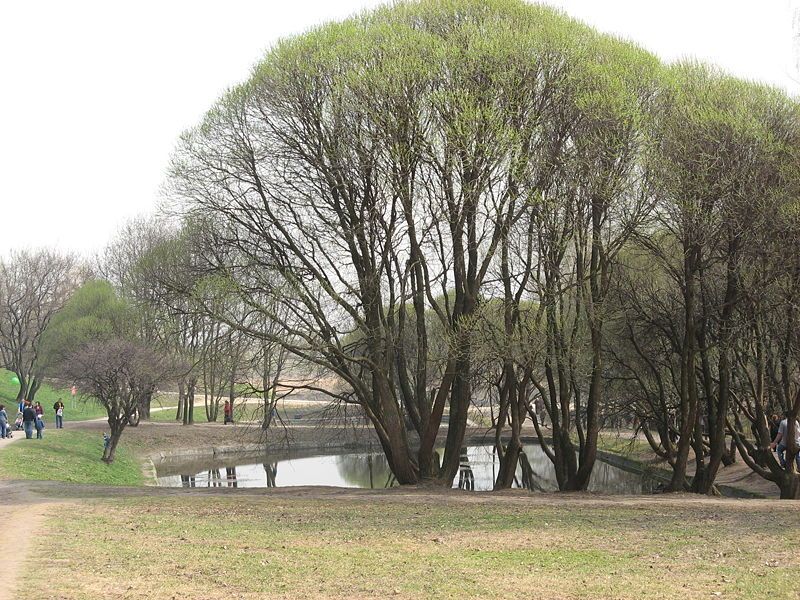 Коломенское: были и небыли самого красивого московского парка (5/7)