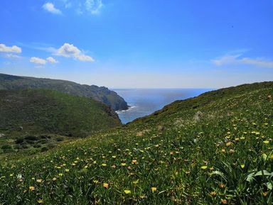 Фото 3 - Экскурсия: "К мысу Рока и рыбацкой деревеньке" Фото 3 - Экскурсия: "К мысу Рока и рыбацкой деревеньке"