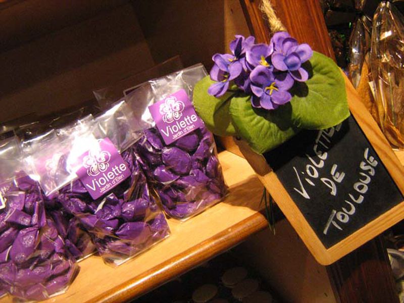 Из Будапешта в имперскую Вену (11/15)