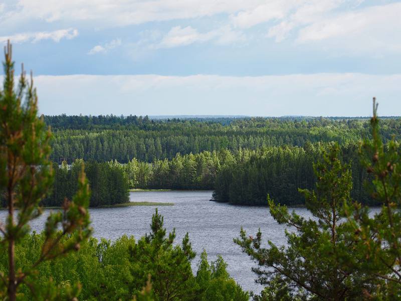 Фото авторского тура 3 "Карельский уикенд" Фото авторского тура 3 "Карельский уикенд"
